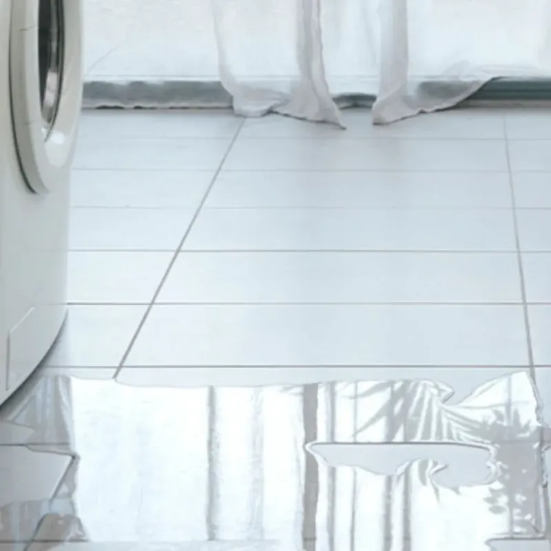 Appliance Leak Cleanup in Livonia, LA