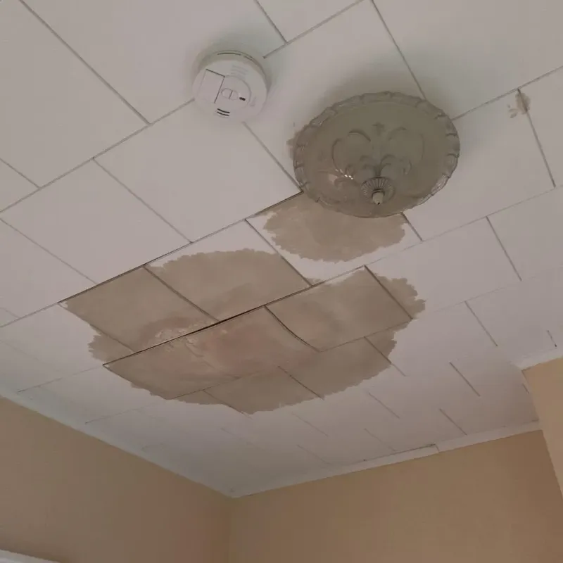 Ceiling Water Damage Repair in Livonia, LA